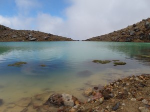 SAM_4250_t